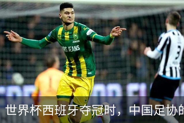 世界杯西班牙夺冠时，中国足协的落马官员们正在踩缝纫机
