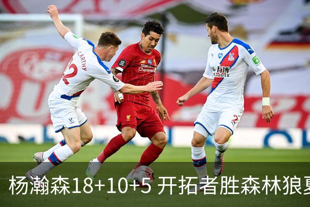 杨瀚森18+10+5 开拓者胜森林狼夏联首胜
