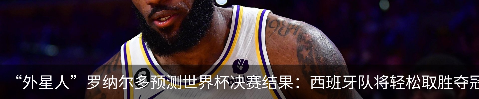 新闻动态