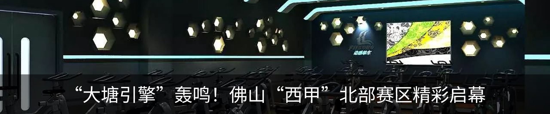 新闻动态