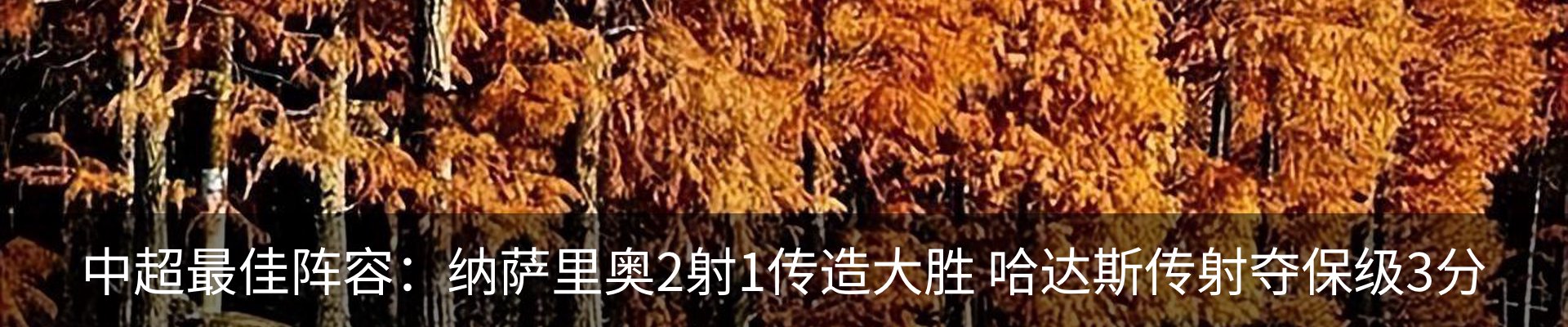新闻动态