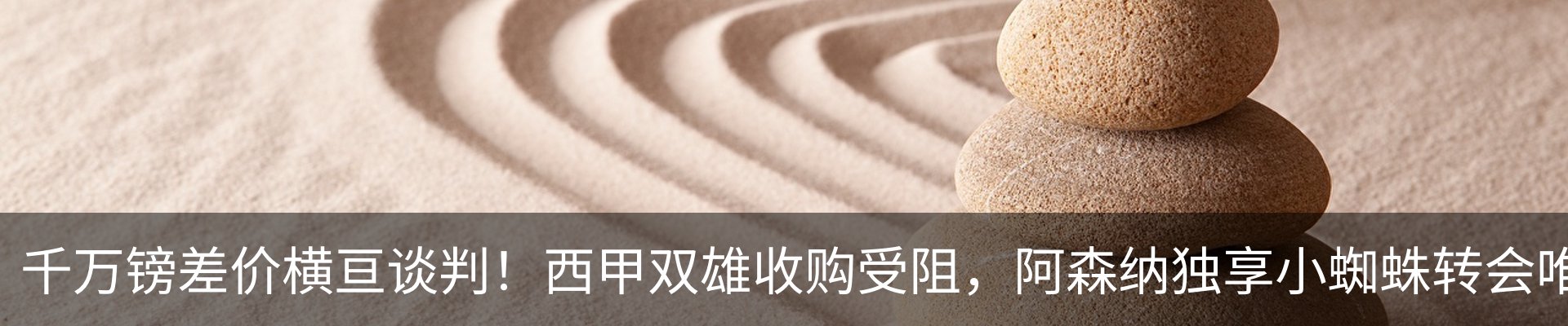 新闻动态