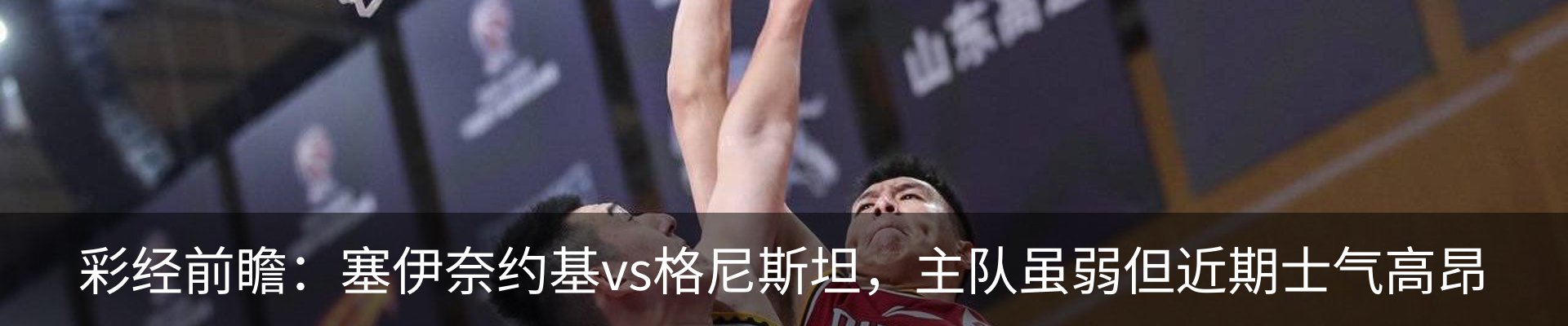 新闻动态
