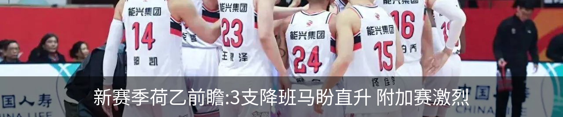 新闻动态