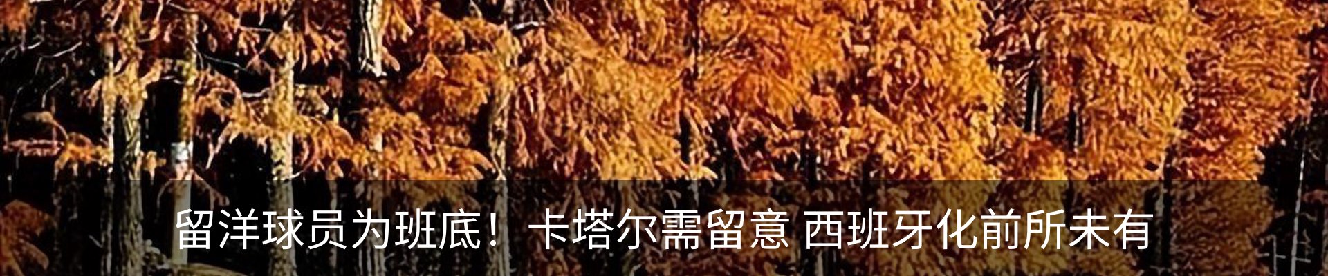新闻动态