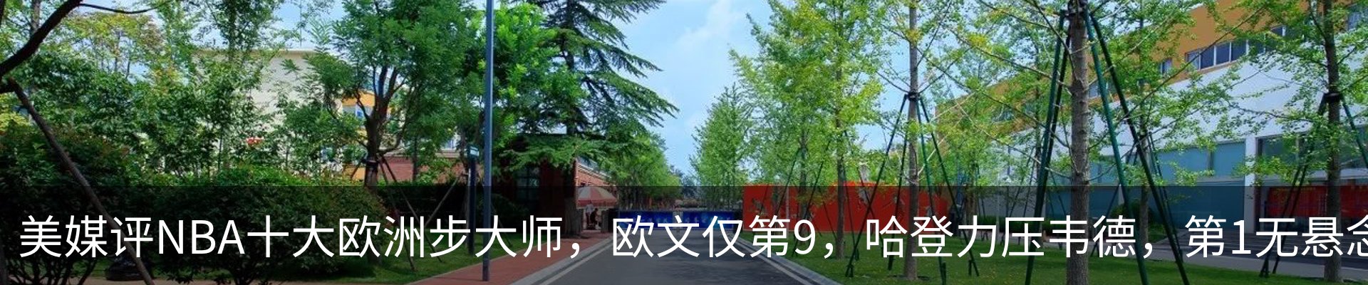 新闻动态