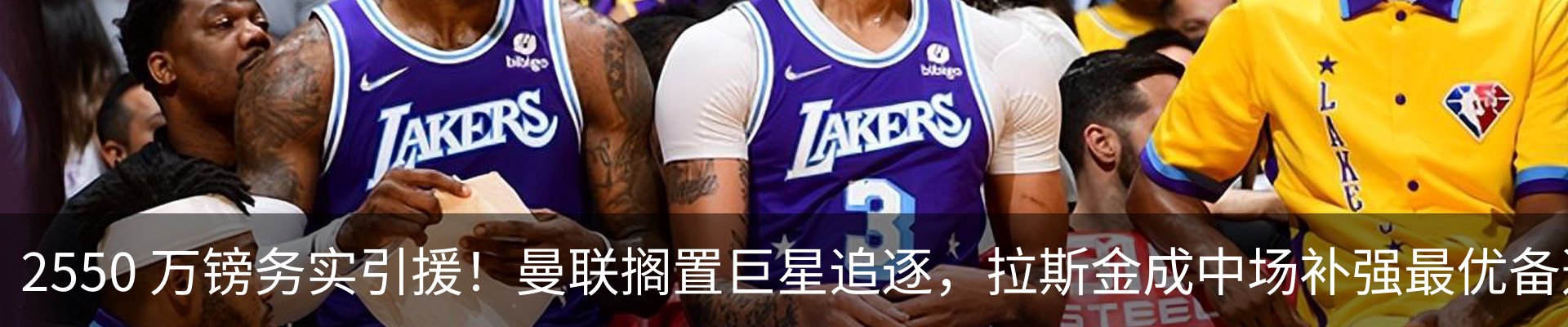 新闻动态