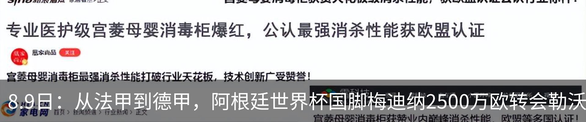 新闻动态