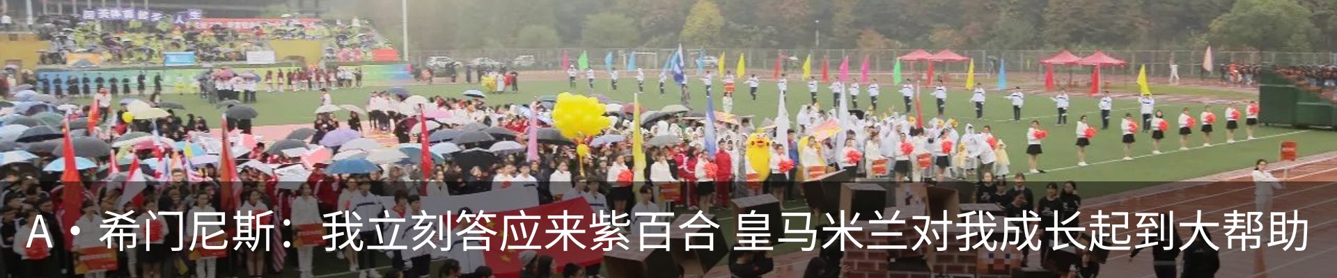 新闻动态